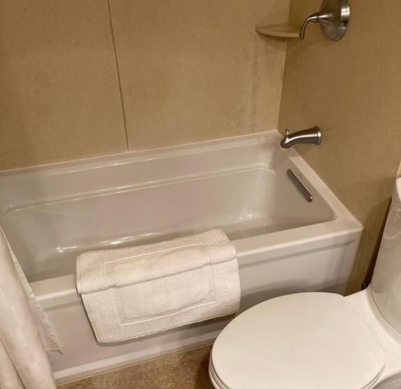 스탠다드 룸 킹사이즈 침대, Blue Dolphin Inn