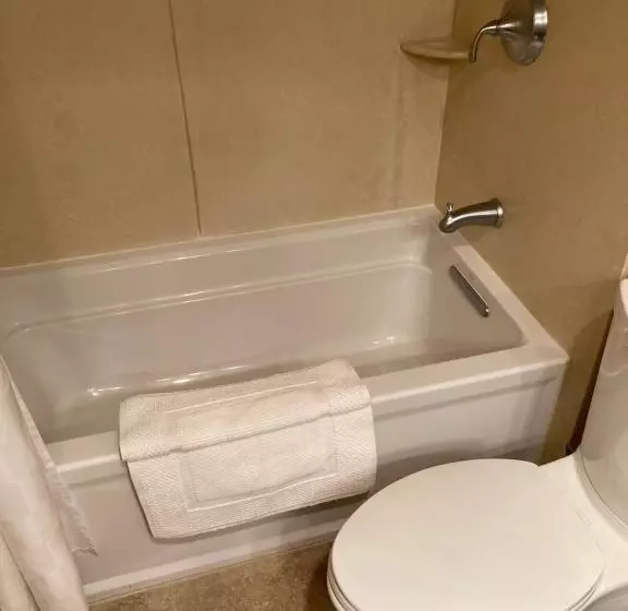 اتاق لوکس با تخت بزرگ, Blue Dolphin Inn