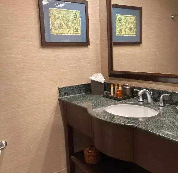 اتاق لوکس با تخت بزرگ, Blue Dolphin Inn