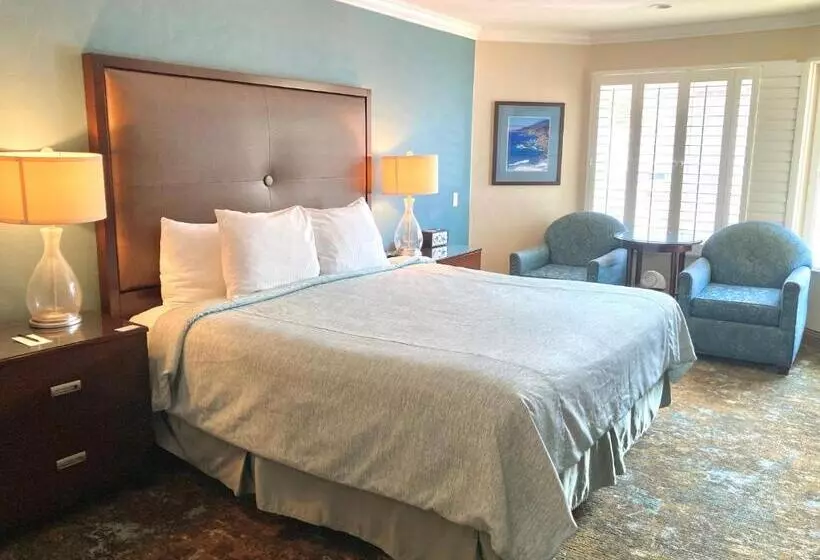اتاق لوکس با تخت بزرگ, Blue Dolphin Inn