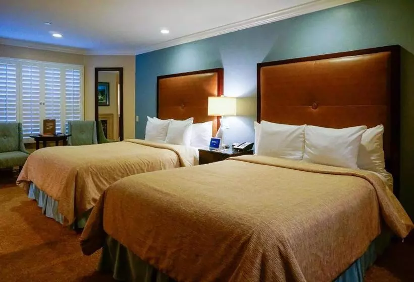 اتاق لوکس, Blue Dolphin Inn