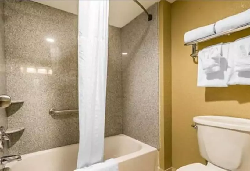 سوییت, Comfort Inn & Suites