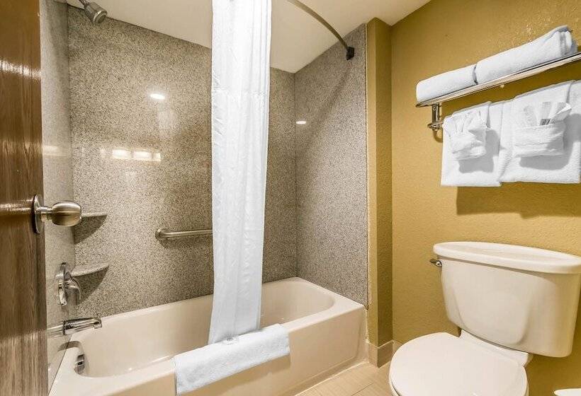 스위트, Comfort Inn & Suites