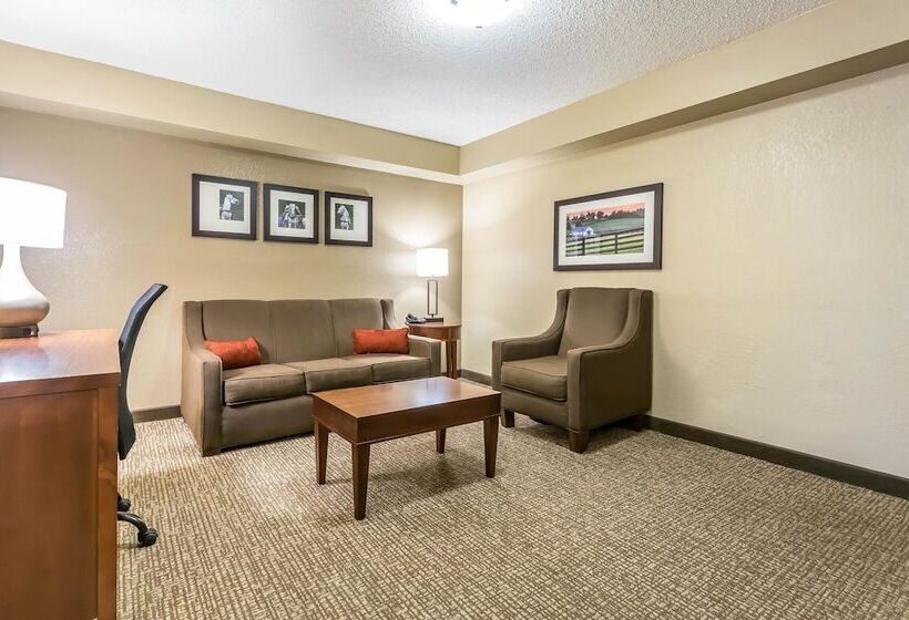 سوییت, Comfort Inn & Suites