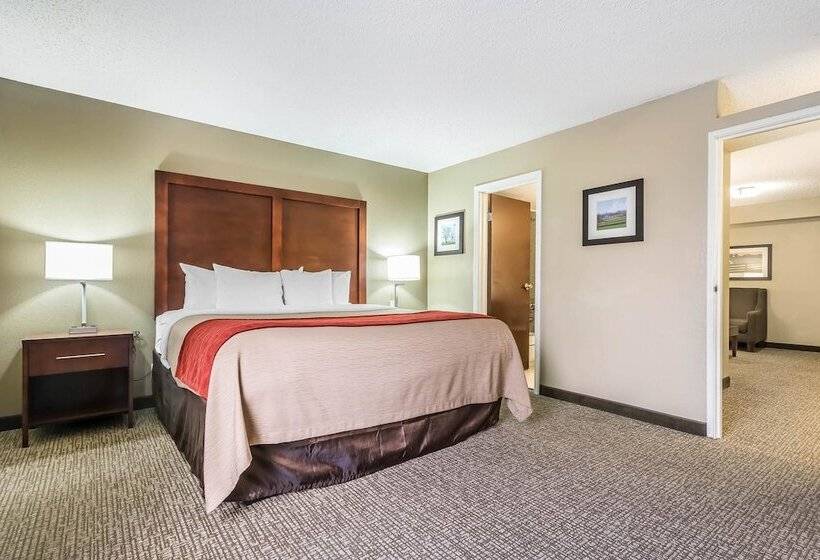 سوییت, Comfort Inn & Suites