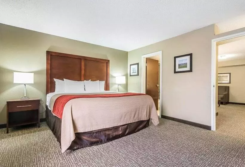 سوییت, Comfort Inn & Suites