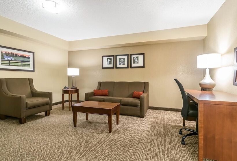 سوییت, Comfort Inn & Suites