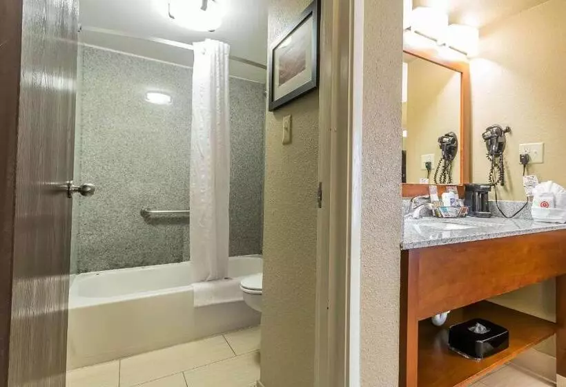 اتاق استاندارد با تخت بزرگ, Comfort Inn & Suites