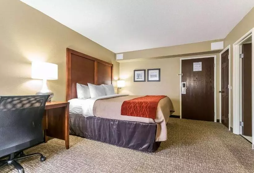 اتاق استاندارد با تخت بزرگ, Comfort Inn & Suites