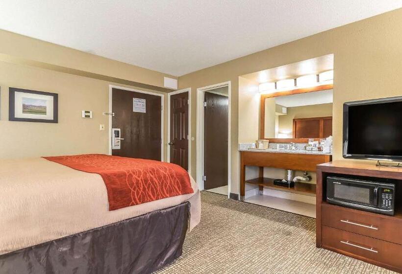 اتاق استاندارد با تخت بزرگ, Comfort Inn & Suites