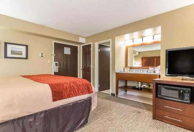 اتاق استاندارد با تخت بزرگ, Comfort Inn & Suites