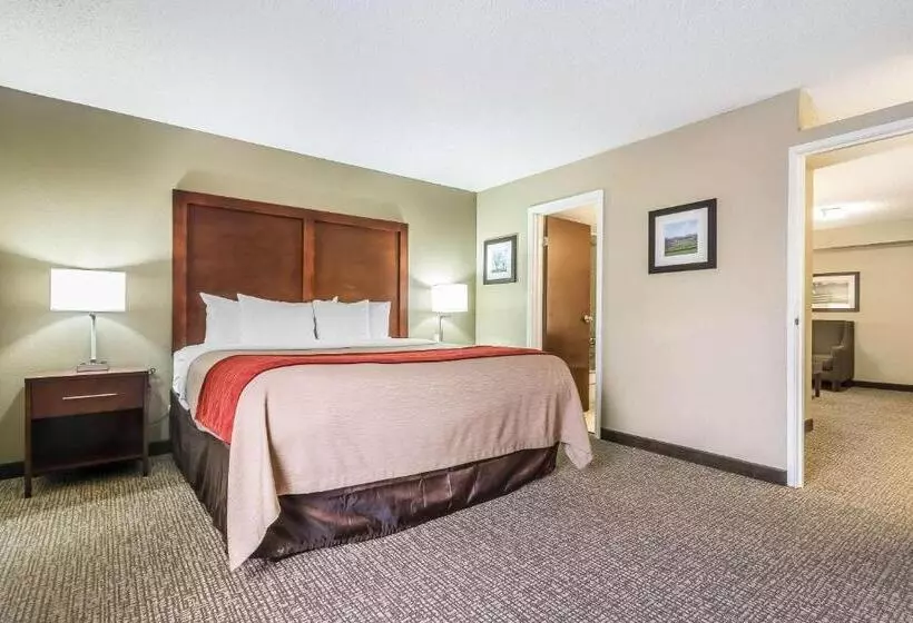 سوئیت با تخت بزرگ, Comfort Inn & Suites
