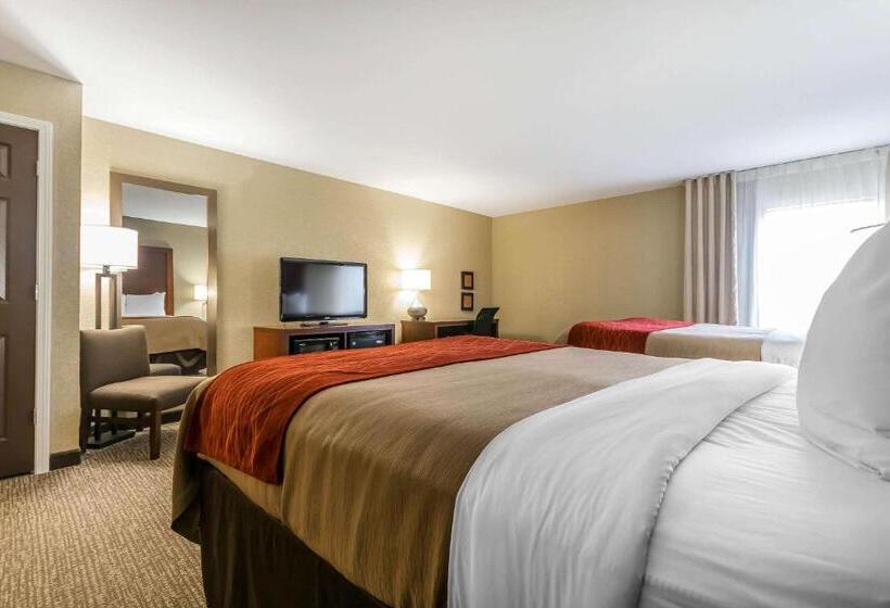 اتاق استاندارد, Comfort Inn & Suites