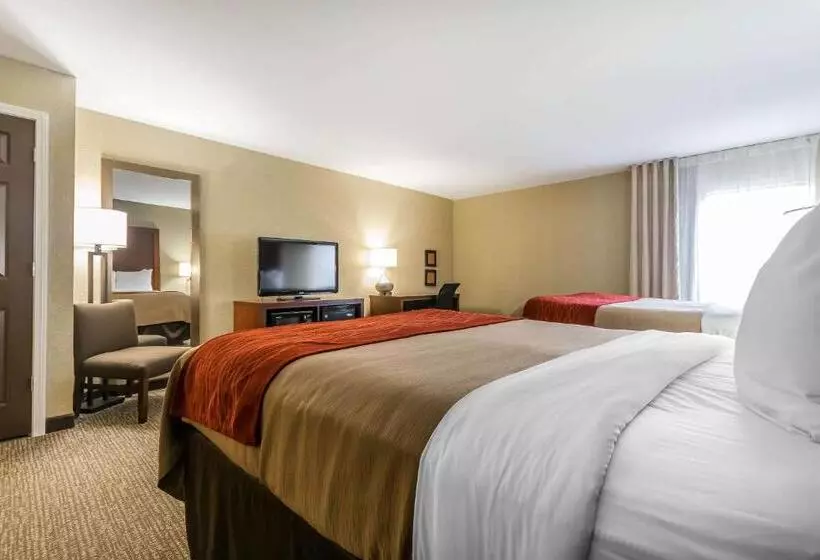 اتاق استاندارد, Comfort Inn & Suites
