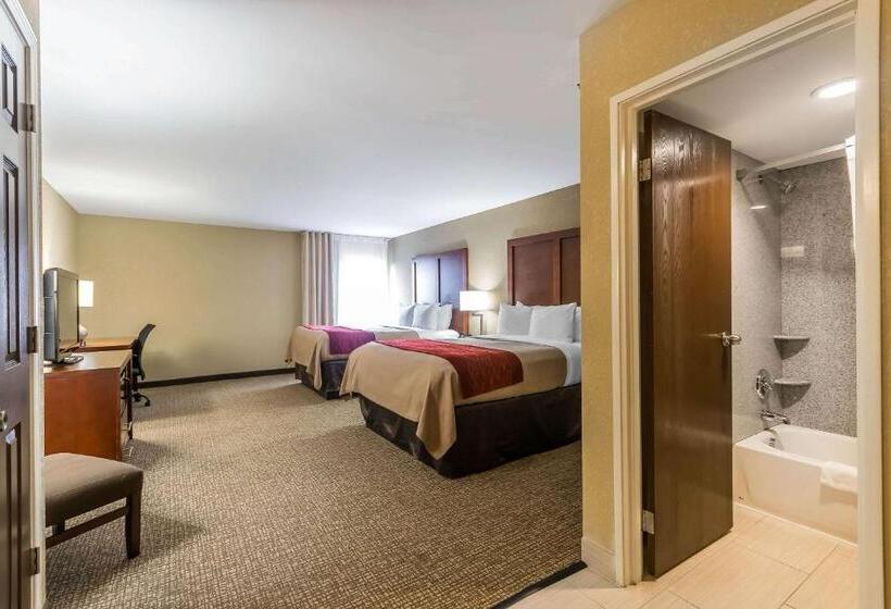 스탠다드 룸, Comfort Inn & Suites