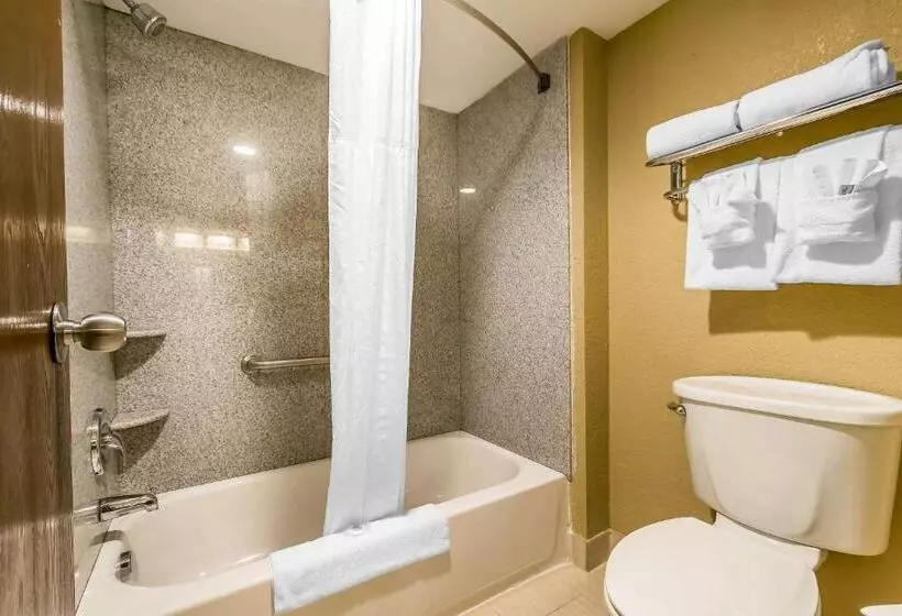 اتاق استاندارد, Comfort Inn & Suites
