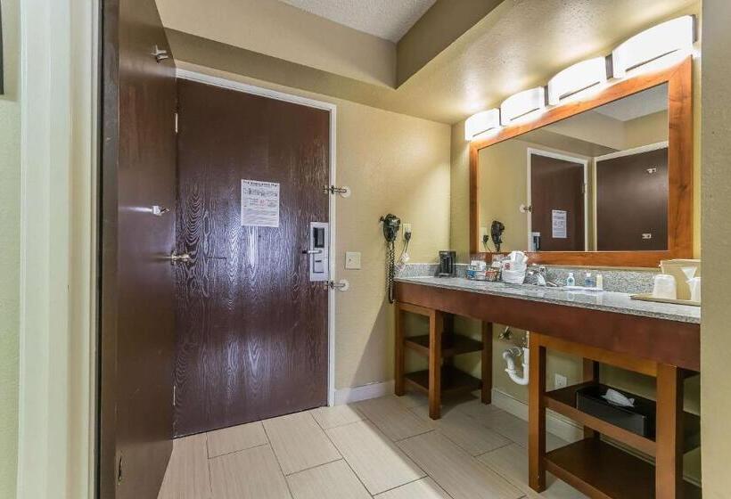장애인을 위한 스탠다드 룸, Comfort Inn & Suites