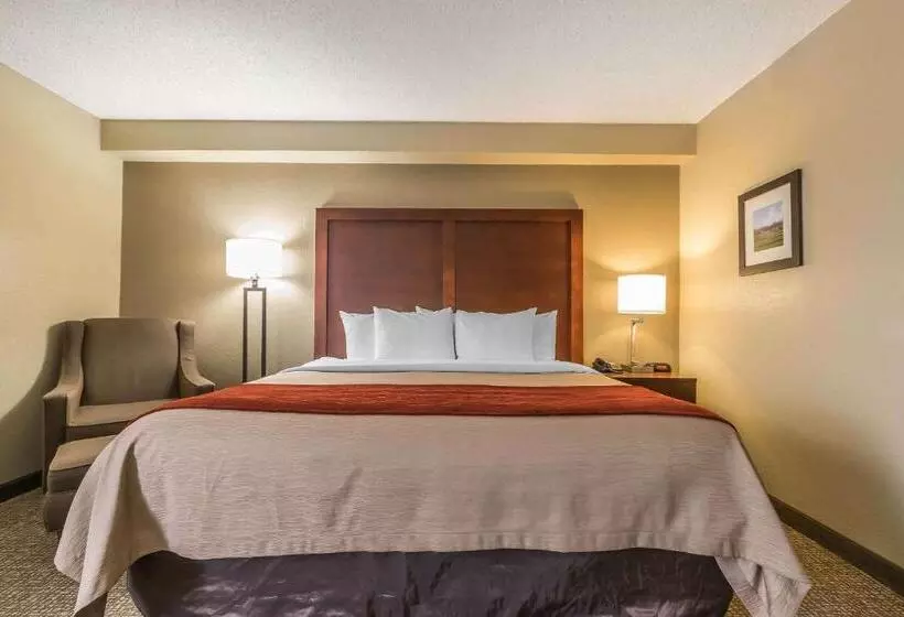اتاق استاندارد برای معلولان, Comfort Inn & Suites