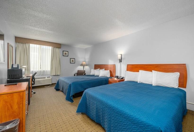 스탠다드 룸, The Dakota