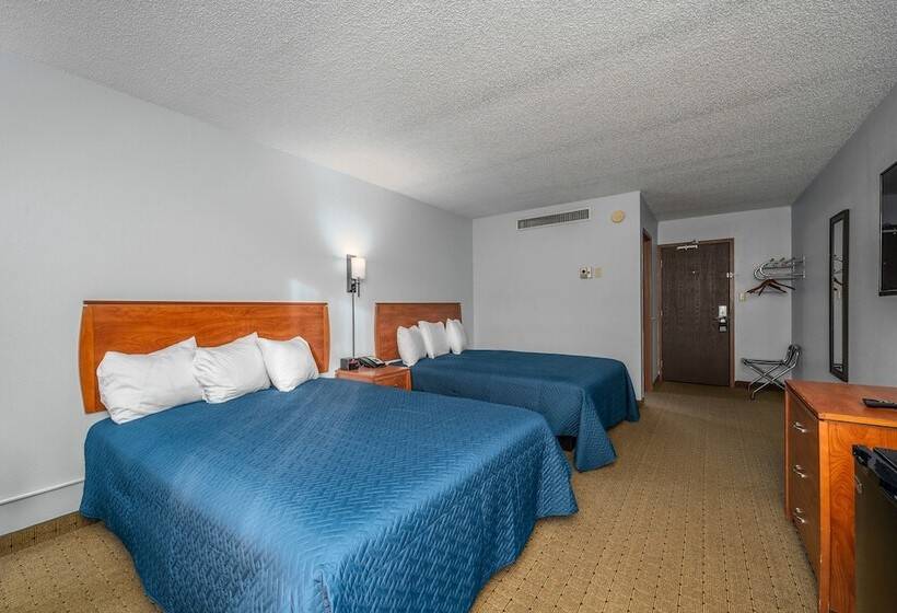 스탠다드 룸, The Dakota