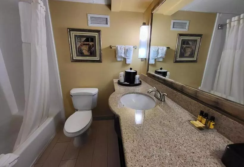 سوییت سوپریور, Wingate By Wyndham Greensboro Coliseum