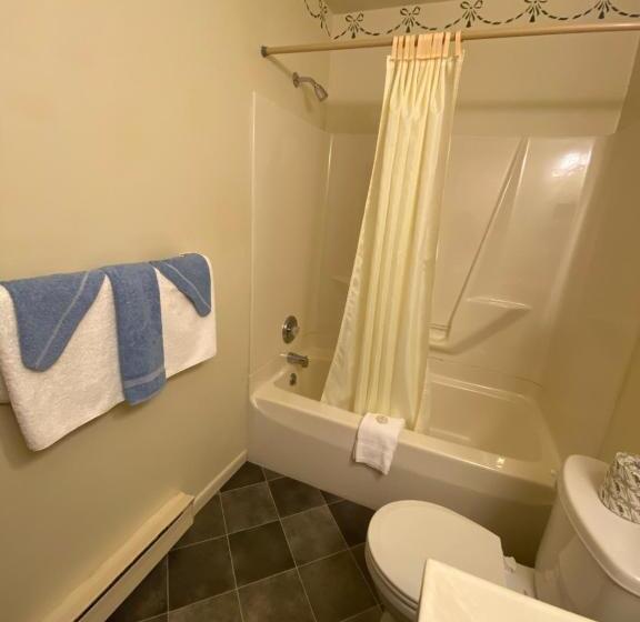 غرفة قياسية, Birchwood Inn