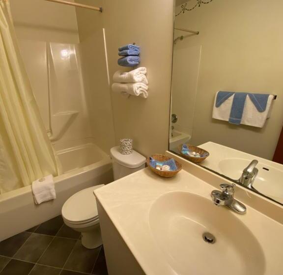 إستوديو ديلوكس, Birchwood Inn