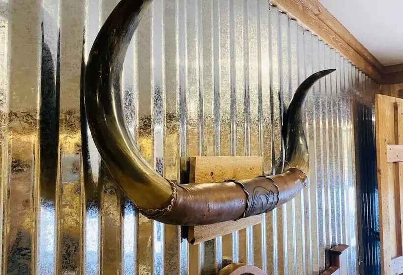 اتاق لوکس, The Big Texan Motel