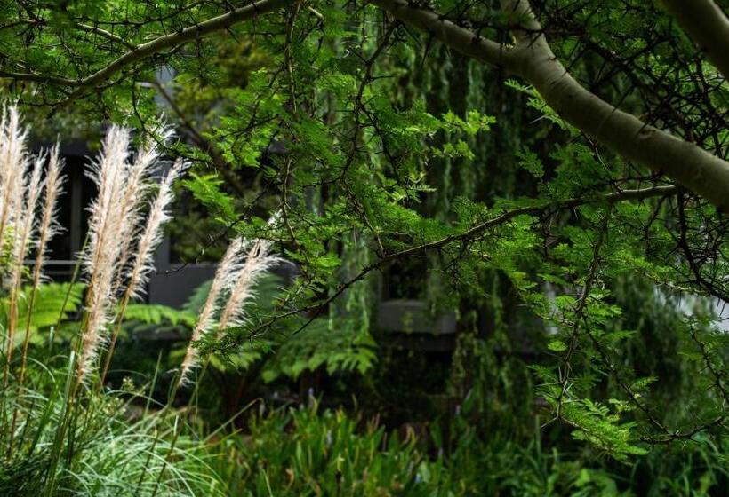 Номер Deluxe, Seven Villa Hotel & Spa