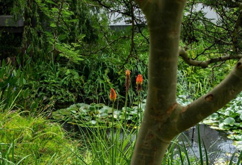 Номер Deluxe, Seven Villa Hotel & Spa