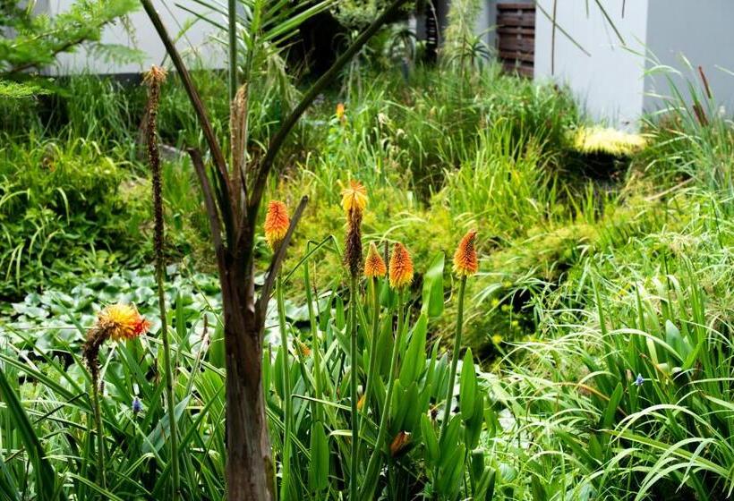 Вилла 1 Спальня, Seven Villa Hotel & Spa