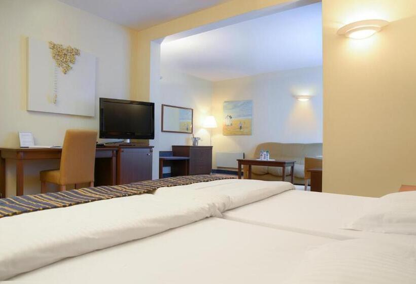 Номер Стандарт, De Watermolen