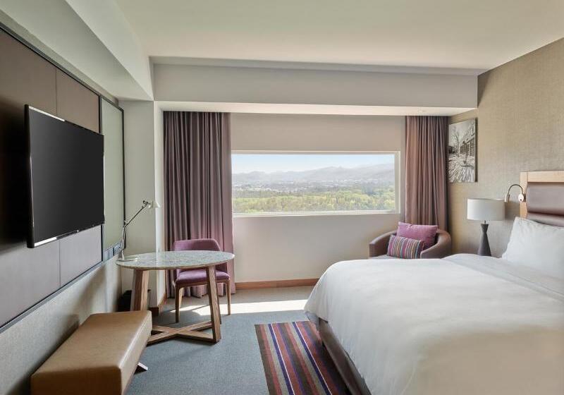 Номер Deluxe Кровать Кинг, Fiesta Americana San Luis Potosi