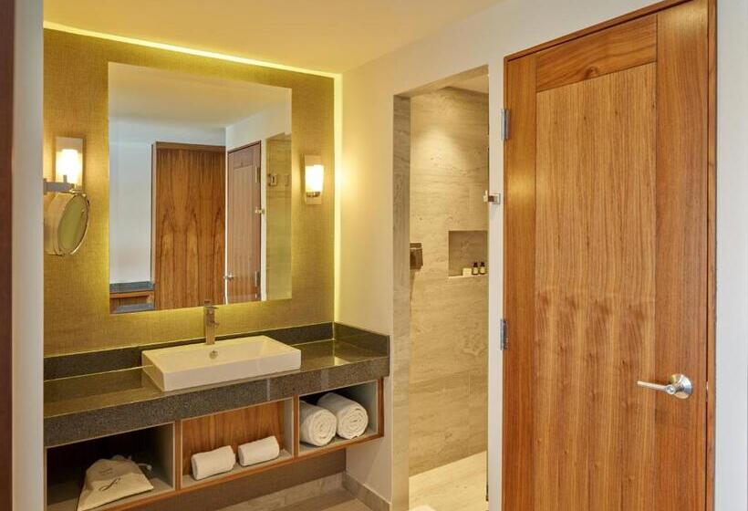 Номер Deluxe Кровать Кинг, Fiesta Americana San Luis Potosi