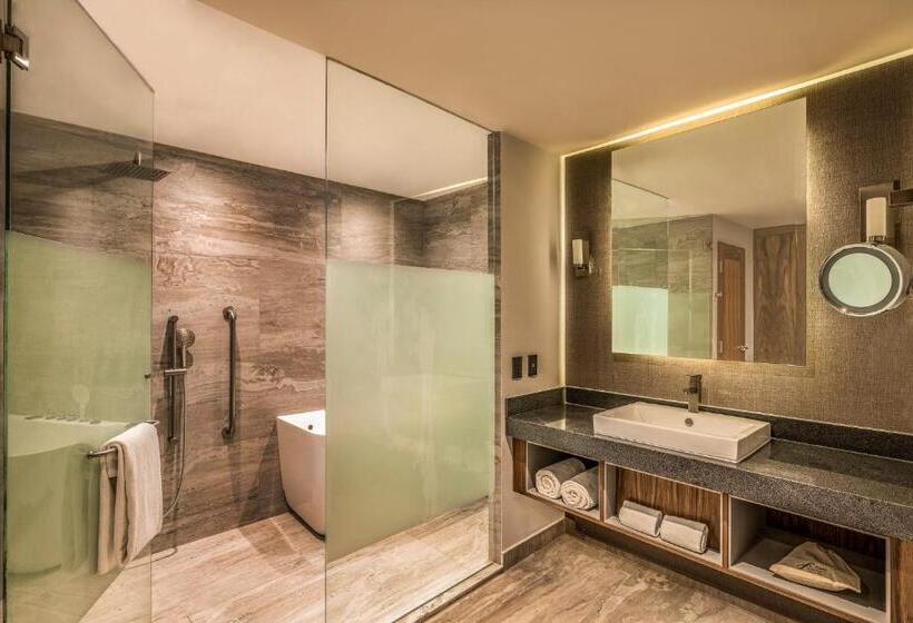 Люкс Мастер, Fiesta Americana San Luis Potosi