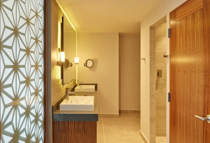 Полулюкс, Fiesta Americana San Luis Potosi