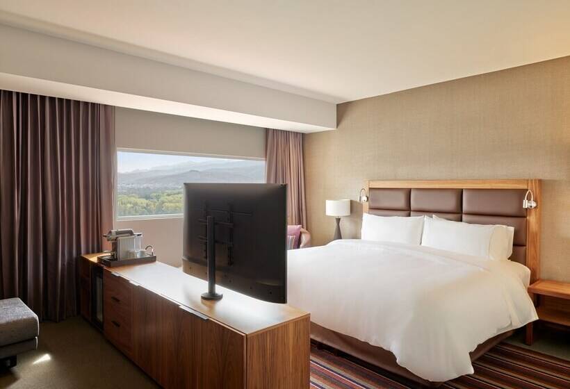 Полулюкс, Fiesta Americana San Luis Potosi