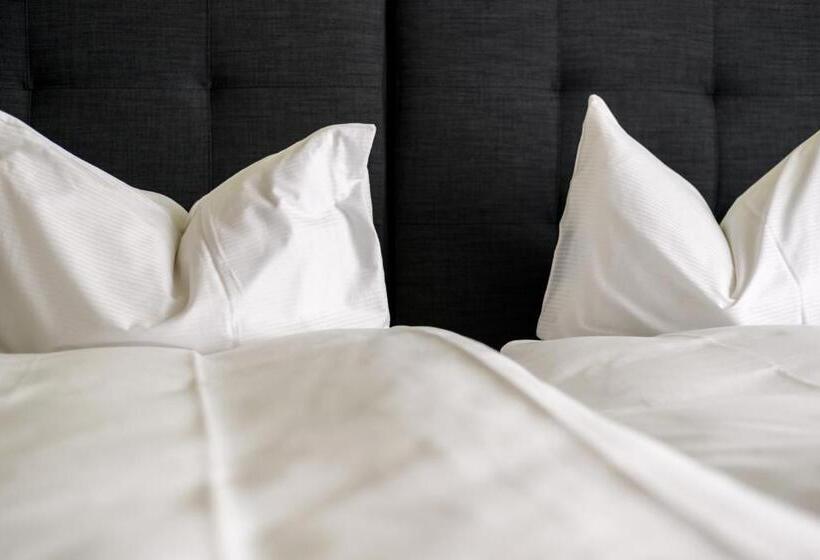 غرفة إقتصادية, Partner Hotel Ag Zofingen