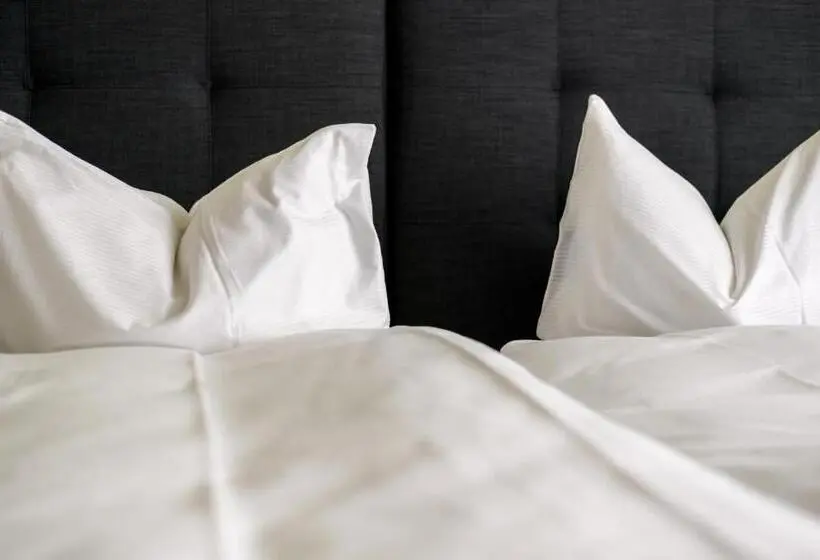 エコノミールーム, Partner Hotel Ag Zofingen