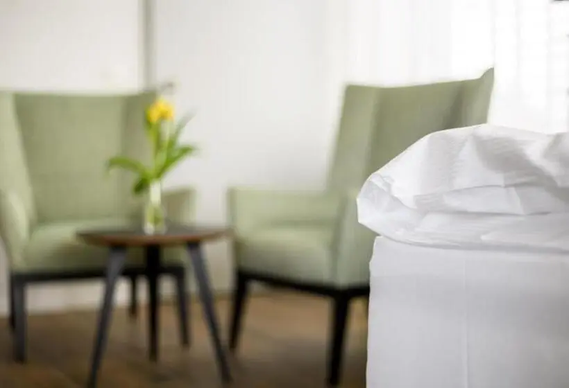 デラックスルーム, Partner Hotel Ag Zofingen