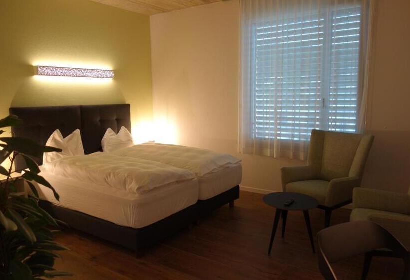 غرفة ديلوكس, Partner Hotel Ag Zofingen