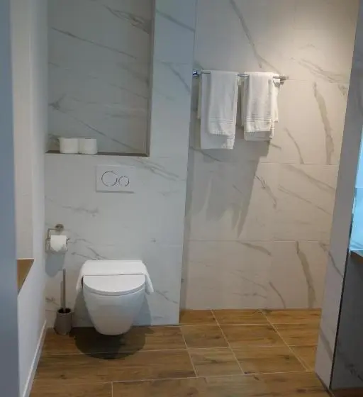 デラックスルーム, Partner Hotel Ag Zofingen