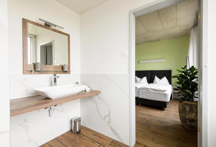 غرفة ديلوكس, Partner Hotel Ag Zofingen