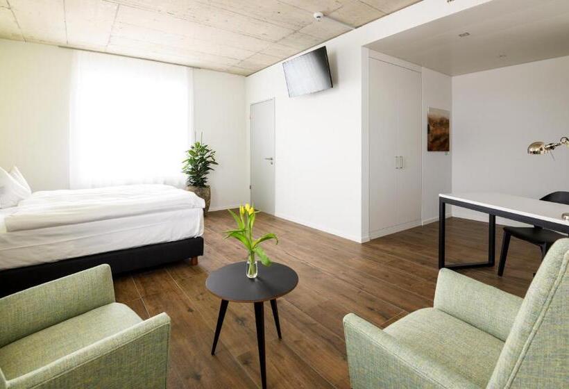 غرفة ديلوكس, Partner Hotel Ag Zofingen