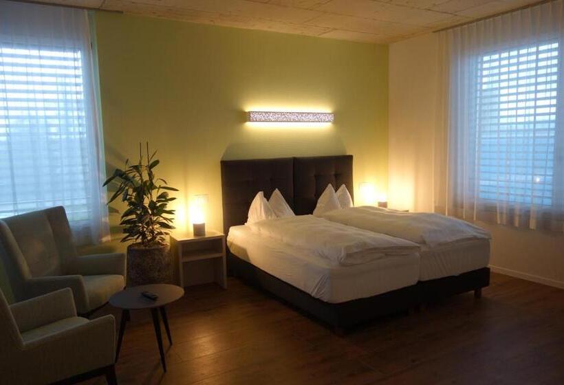 غرفة ديلوكس, Partner Hotel Ag Zofingen