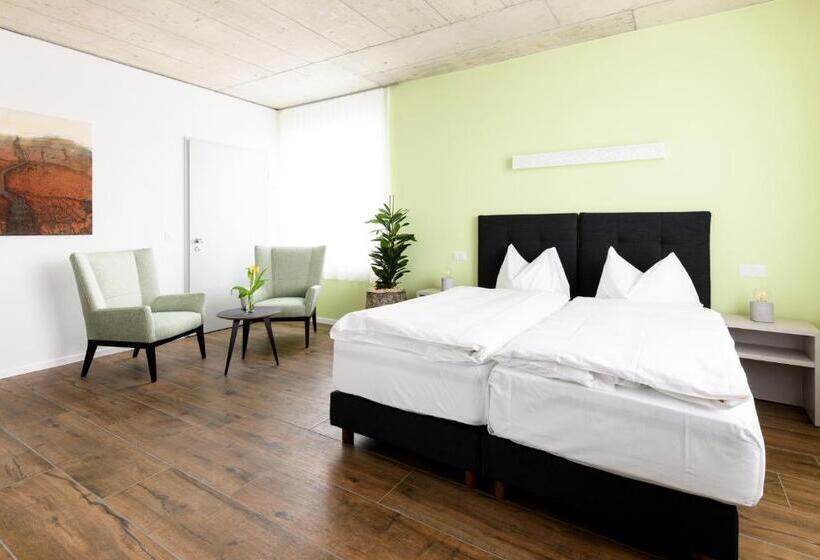 Номер Deluxe, Partner Hotel Ag Zofingen