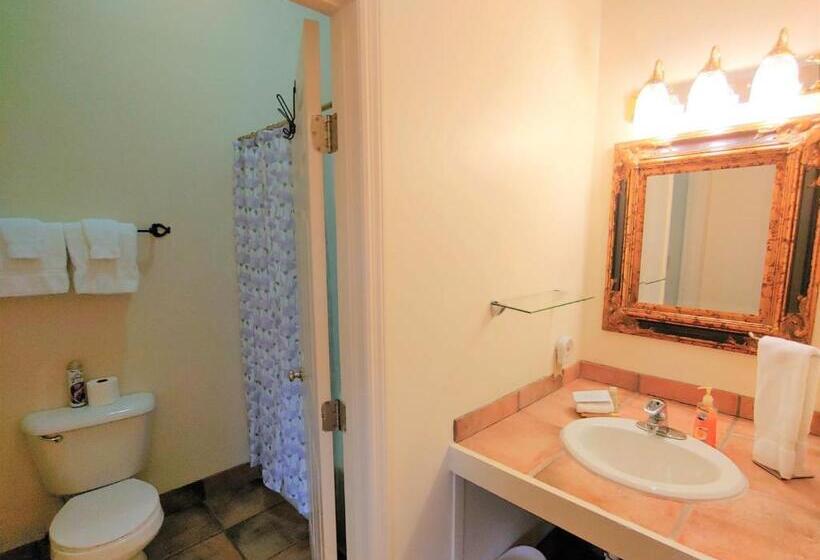 חדר דחוקס עם מיטת קינג, Mckinley Edwards Inn