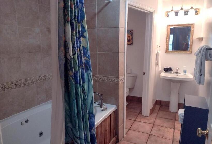 חדר דחוקס עם מיטת קינג, Mckinley Edwards Inn