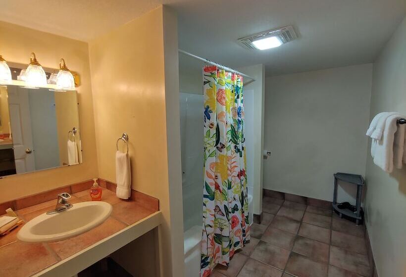 חדר סטנדרט, Mckinley Edwards Inn