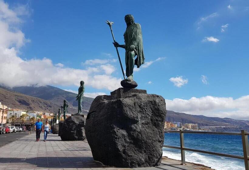 اتاق استاندارد, The Magic Dragonfly!